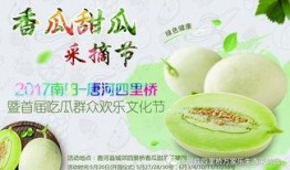 网红大咖与吃瓜,揭秘网络舆论背后的故事